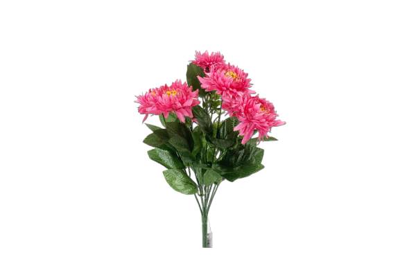 bukiet aster mix