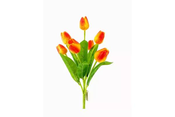 Tulipan bukiet 7 mix TCF4009