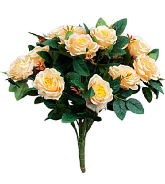 6jly24